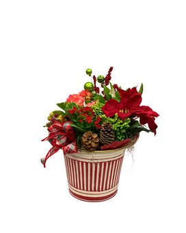 Candy Cane Blooming Garden Flower Arrangement