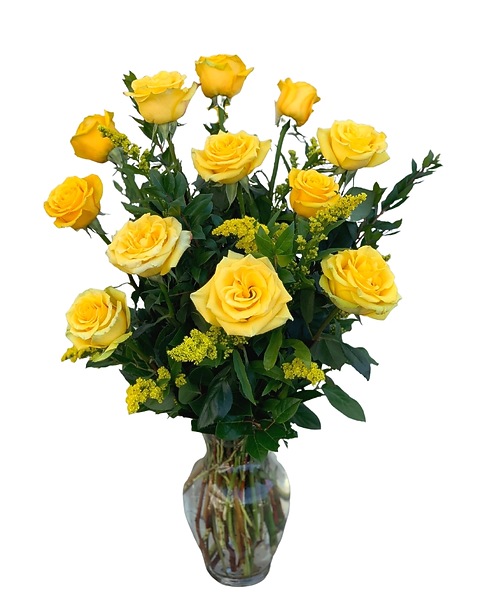 Long Stem Yellow Rose Background