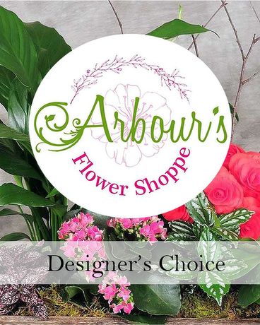Designer's Choice Living Planter Flower Arrangement