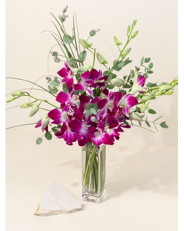 Fresh Cut Orchids in a Vase (Colors will Vary) Flower Arrangement