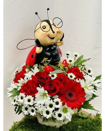 Sherwood's Bugaboo Floral Basket Flower Arrangement