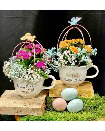 Easter TeaParty Kalanchoe Plant *Sayings Will Vary Flower Arrangement