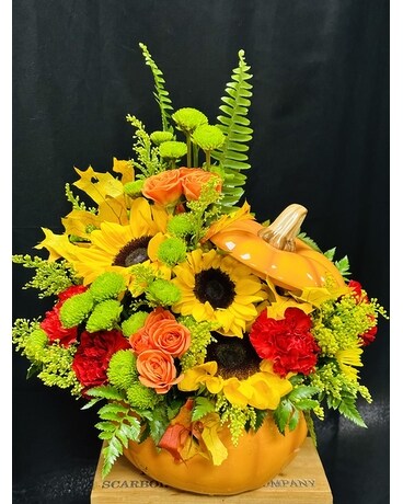 START OF FALL PUMPKIN Flower Arrangement