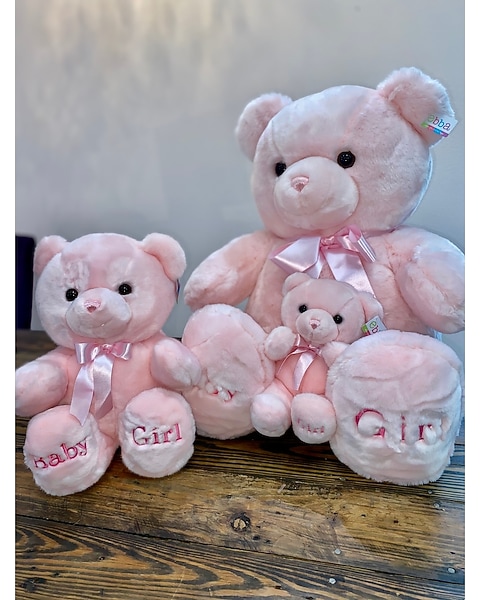 Baby Girl Teddy Bear in Spring Hill FL Sherwood Florist Plus Nursery