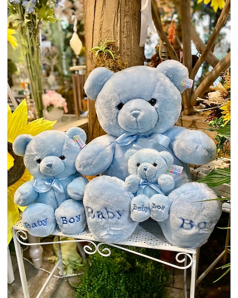 Baby Boy Teddy Bear in Spring Hill FL Sherwood Florist Plus Nursery