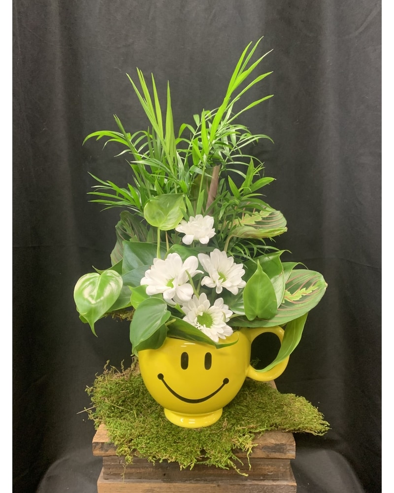 鉢・プランター VALIEM ACT3 MM SMILEY Msize Smiley Mug Planter in Spring Hill, Florida - SherwoodFlorist