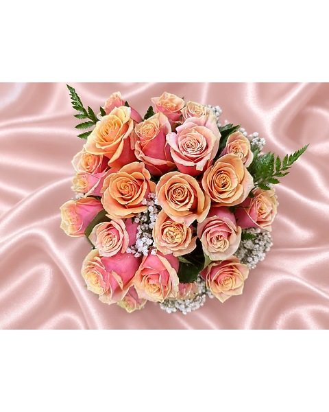 2 Dozen Pink Amaretto Roses, Vased! Limited Sale! in Spring Hill FL ...