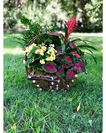 Artisan European Garden Basket Plant