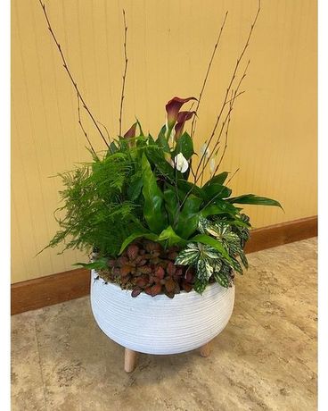 POTTERY MARKET GARDEN PLANTER Plant