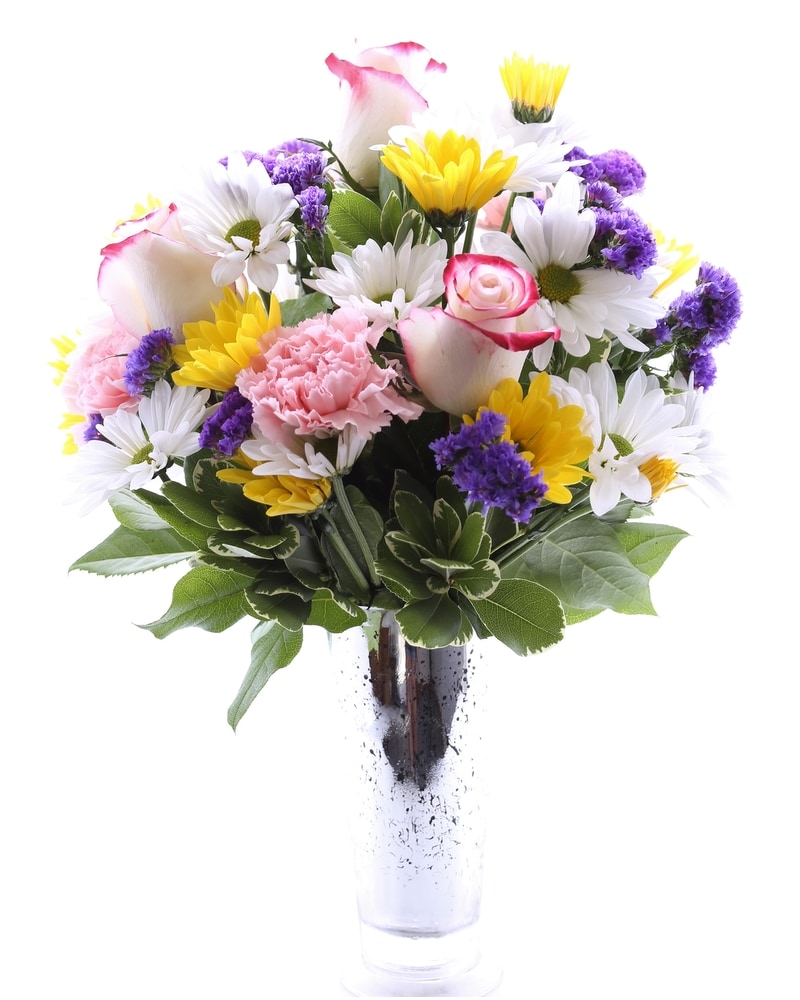 Get Well* Delivery Mount Dora FL - Claudia's Pearl Florist