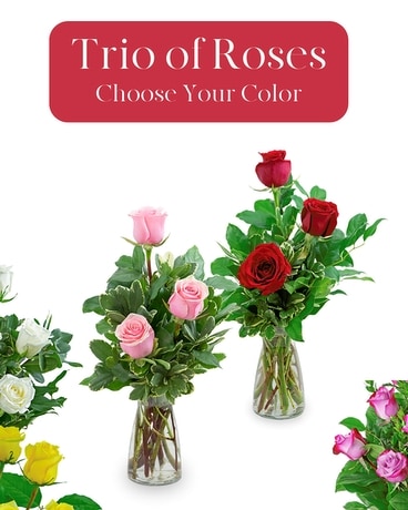 Trio of Roses - Choose Your Color Flower Arrangement