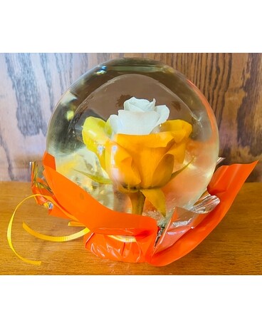 Gordon Bonetti's Halloween Global Roses Flowers