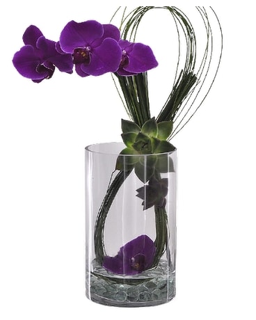 Infinite Orchid & Succulent Flower Arrangement