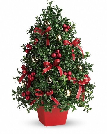 Deck The Halls Boxwood Tree Flower Arrangement