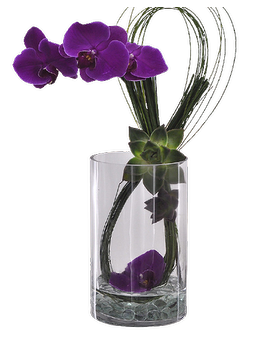 Infinite Orchid & Succulent Flower Arrangement