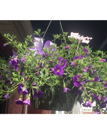 Gorgeous Summer Hanging Plant Flower Arrangement
