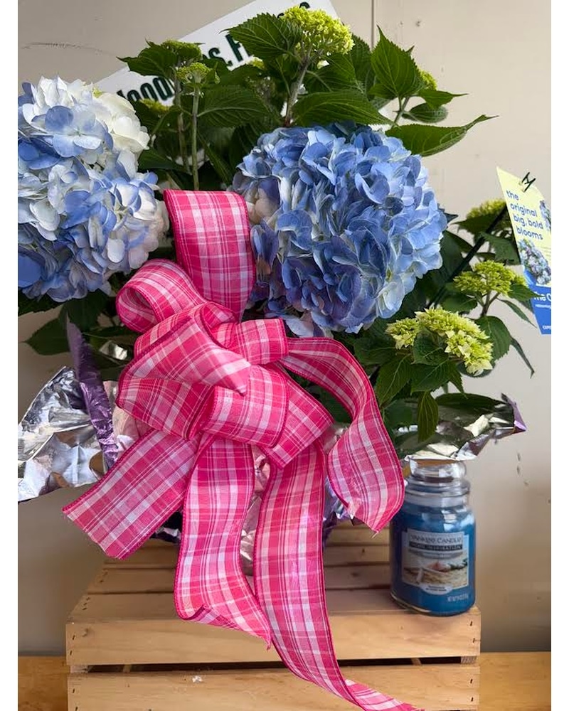 Plants Delivery Lowell MA - Wood Bros Florist