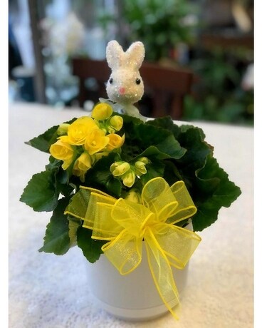 Happy Bunny Hops   (varied colors) Flower Arrangement