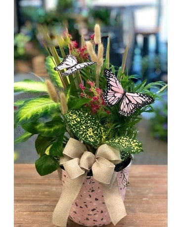 Moms Dish Garden, Pink Butterflies Flower Arrangement