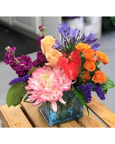 Tropical Breeze Bliss Flower Arrangement