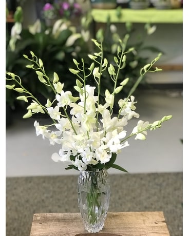 Extravagent Orchids Flower Arrangement