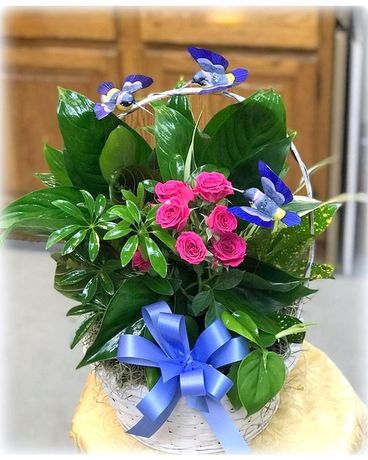 Heavenly Hummingbirds Planter Dish Garden Plant