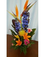 Standard size, 25 inches height and 12 inches wide.