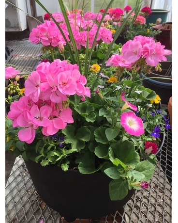 Goshen Florist - Flower Delivery by Tom's Greenhouses and Florist