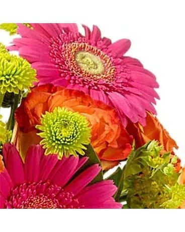 DESIGNER'S CHOICE CITRUS BRIGHT Flower Arrangement