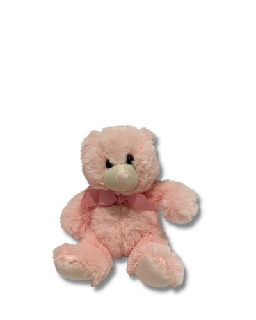 Pink Teddy Gifts