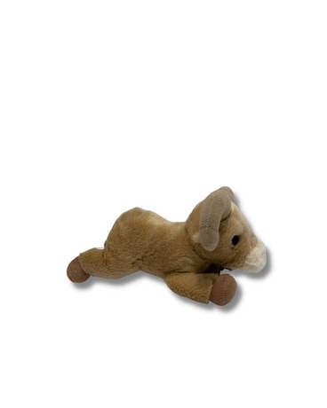 Big Horn Sheep Gifts