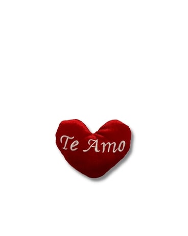 Te Amo Plush Heart Small Gifts