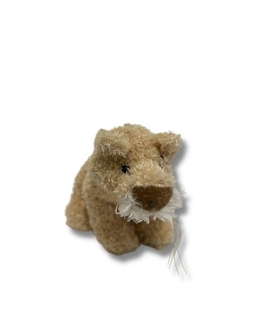 Soft Spot Lioness Gifts