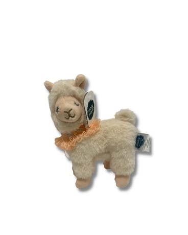 Lexi Llama White Flower Arrangement