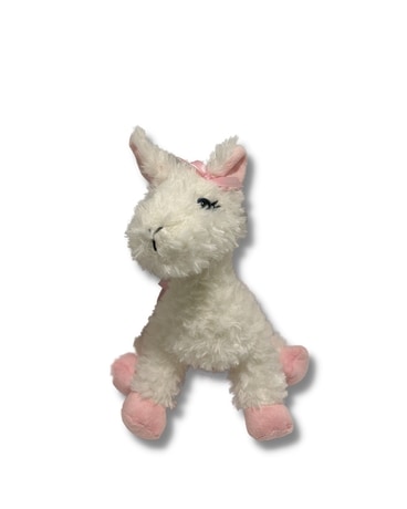Ballerina Llama Flower Arrangement