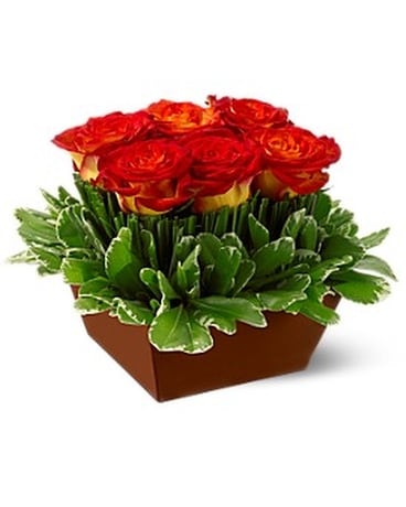 Roses in the Grass Flower Arrangement
