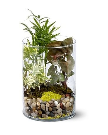 Garden in Glass Flower Arrangement