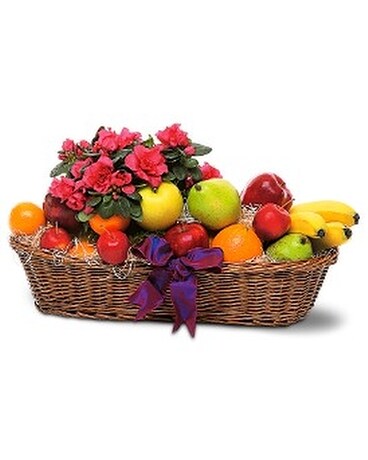 Plant and Fruit Basket Flower Arrangement