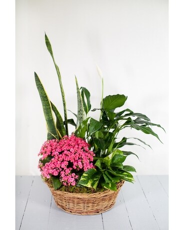 Garden Solace Basket Arrangement