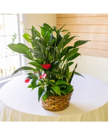 European Garden Flower Arrangement