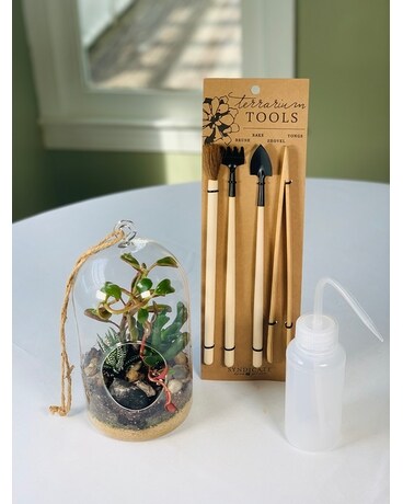 Suspended Terrarium Collection Plant