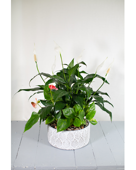 The Old Durham Garden Flower Arrangement