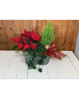 Rustic Holiday Planter Plant