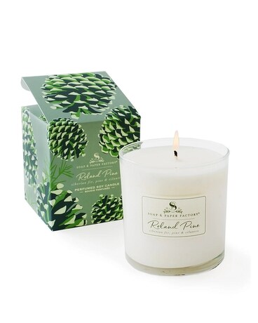 Roland Pine Candle, Single Wick Gifts