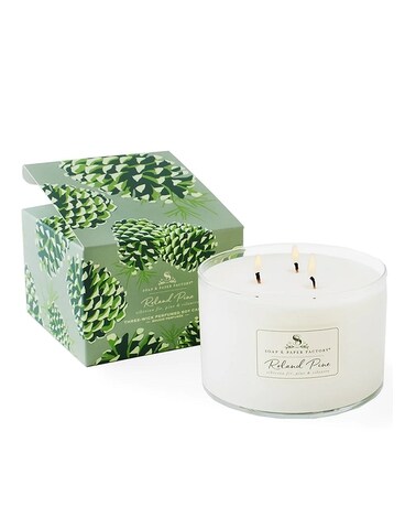 Roland Pine Candle, Three Wick Gifts