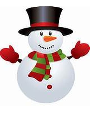 Christmas Theme Designers Choice Flower Arrangement