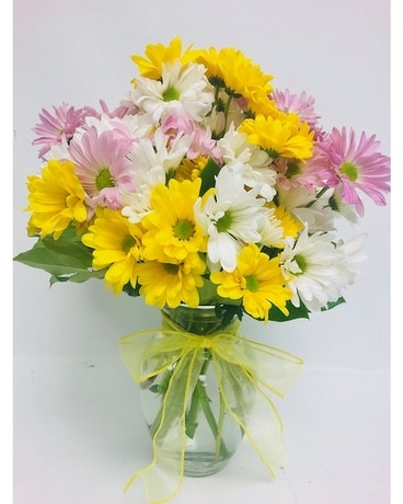 Lovely Daisies Flower Arrangement