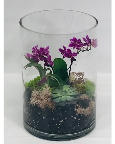 Terrarium with Orchids Flower Arrangement