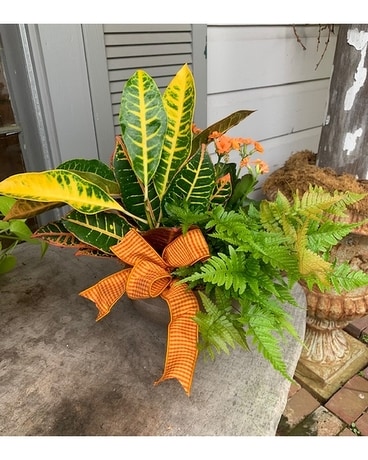Autumn Trio Garden Flower Arrangement