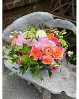 Premium Lux size,  inches height and  inches wide.
